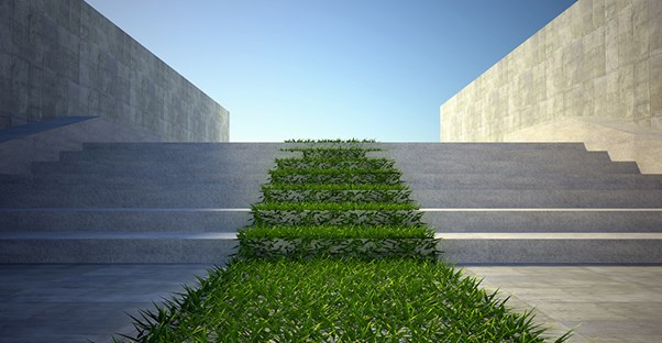 steps of a business building that chose the best sustainable grass and concrete for water conservation 