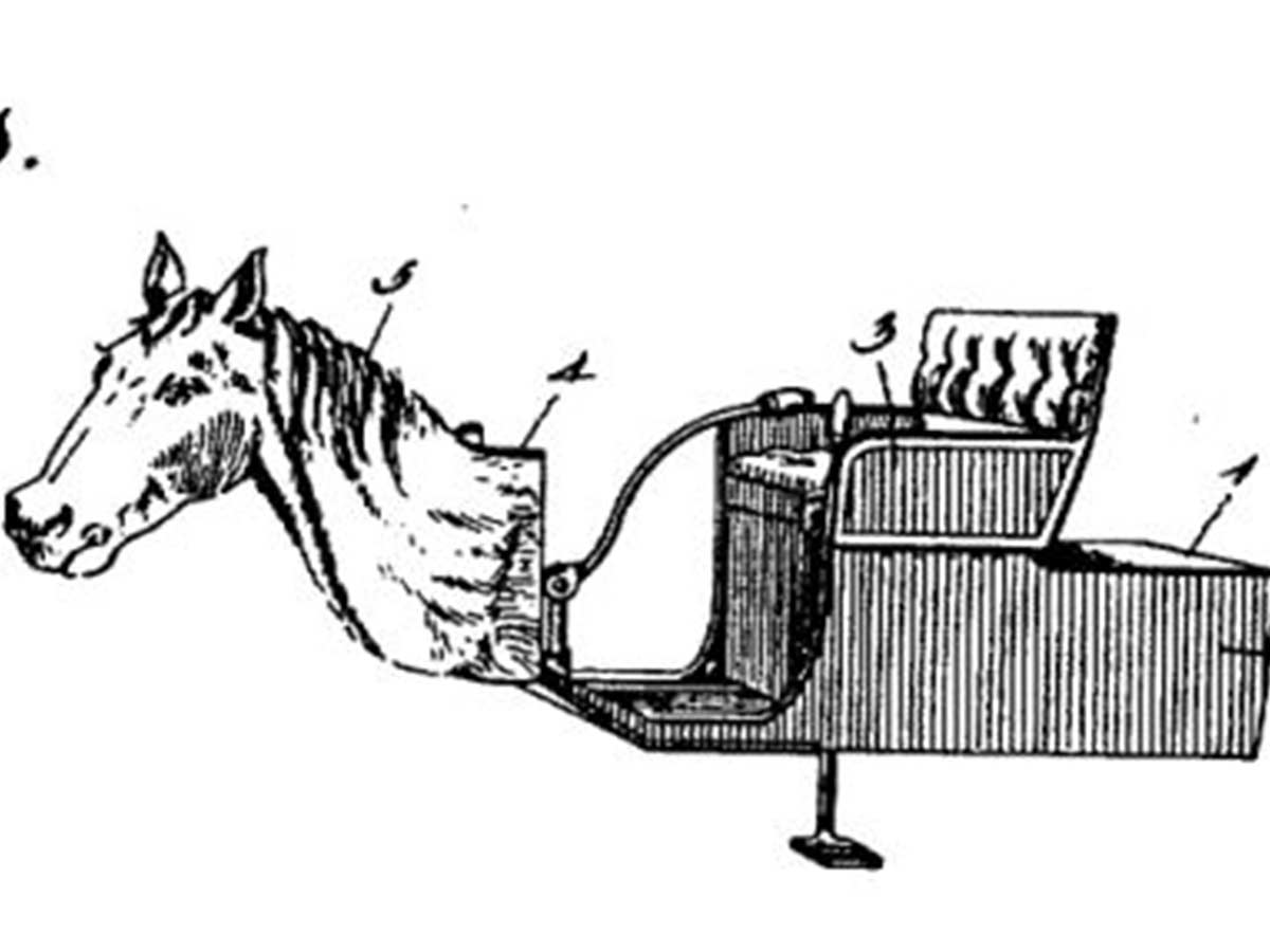 Horsey Horseless