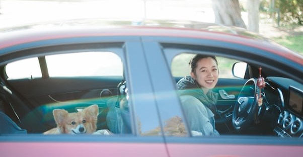 woman and her corgi pup smile from the car windows