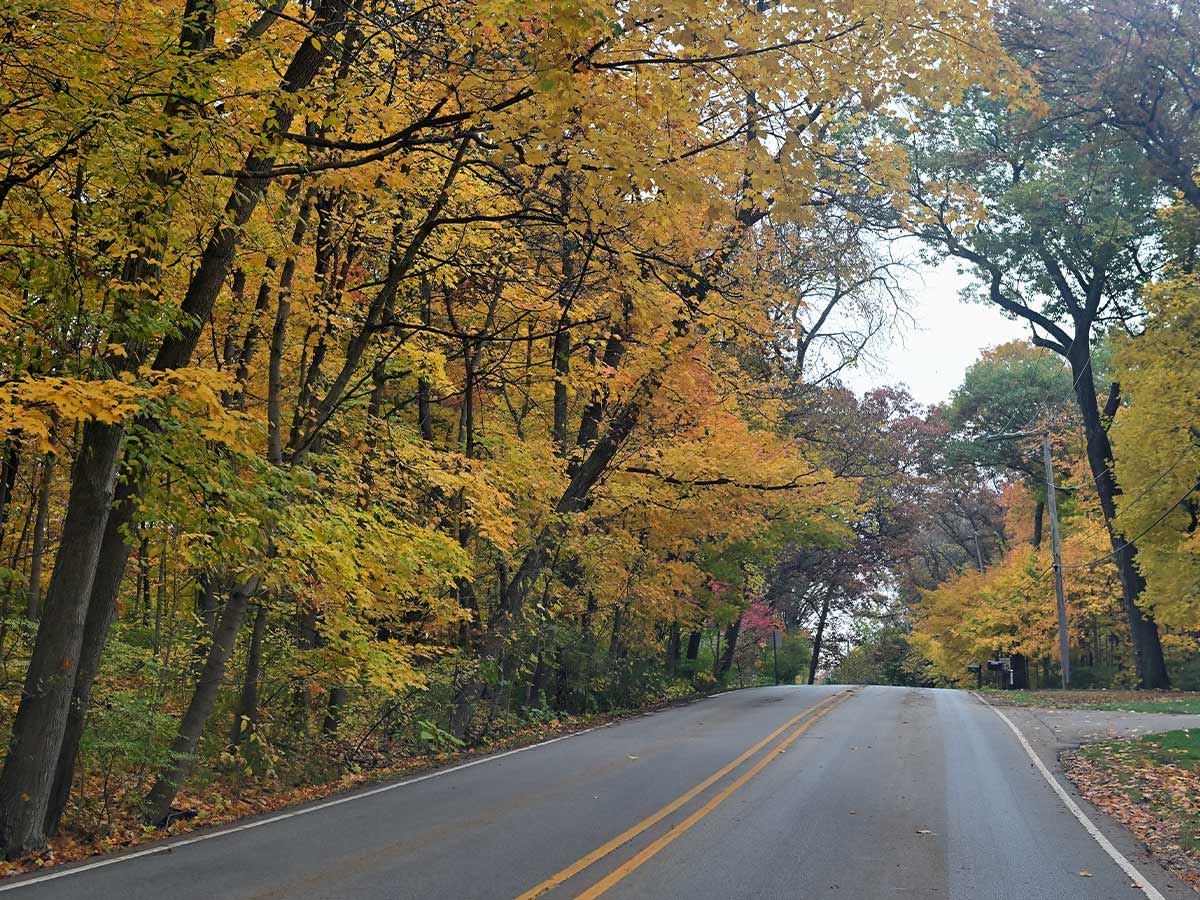 Illinois