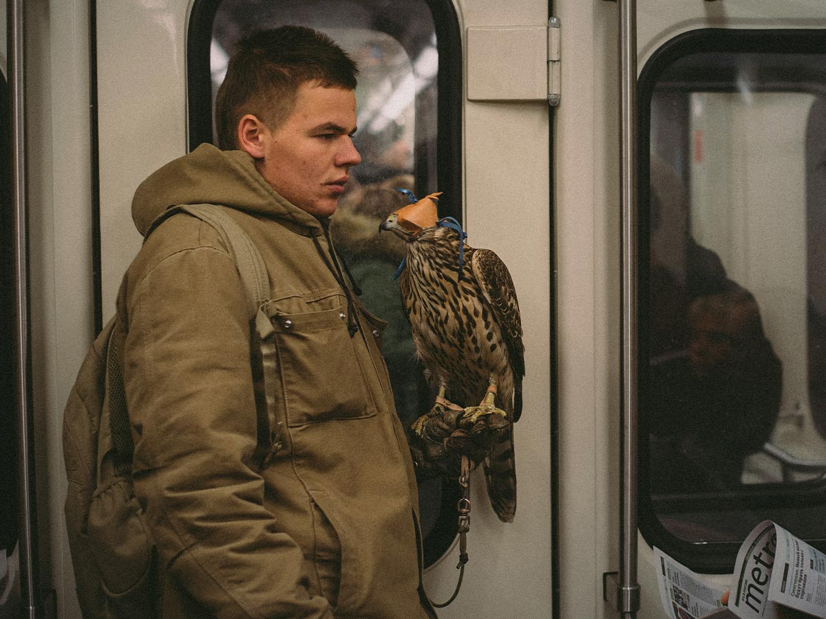 Falconry