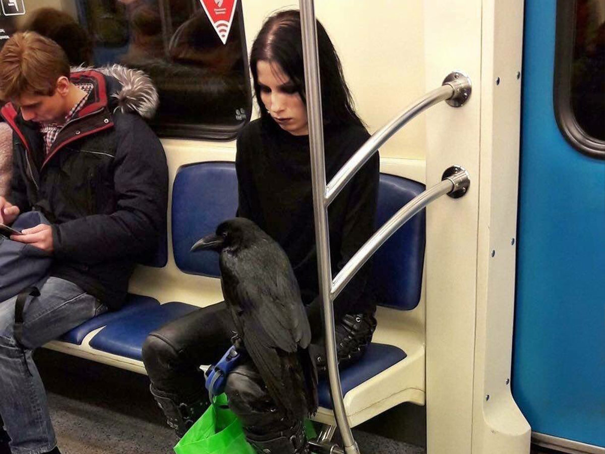 Ultimate Goth