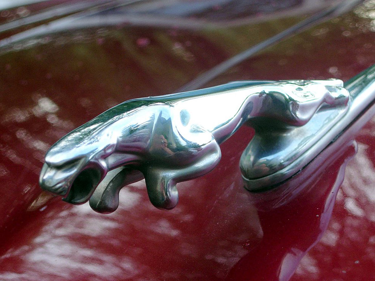 Hood Ornaments