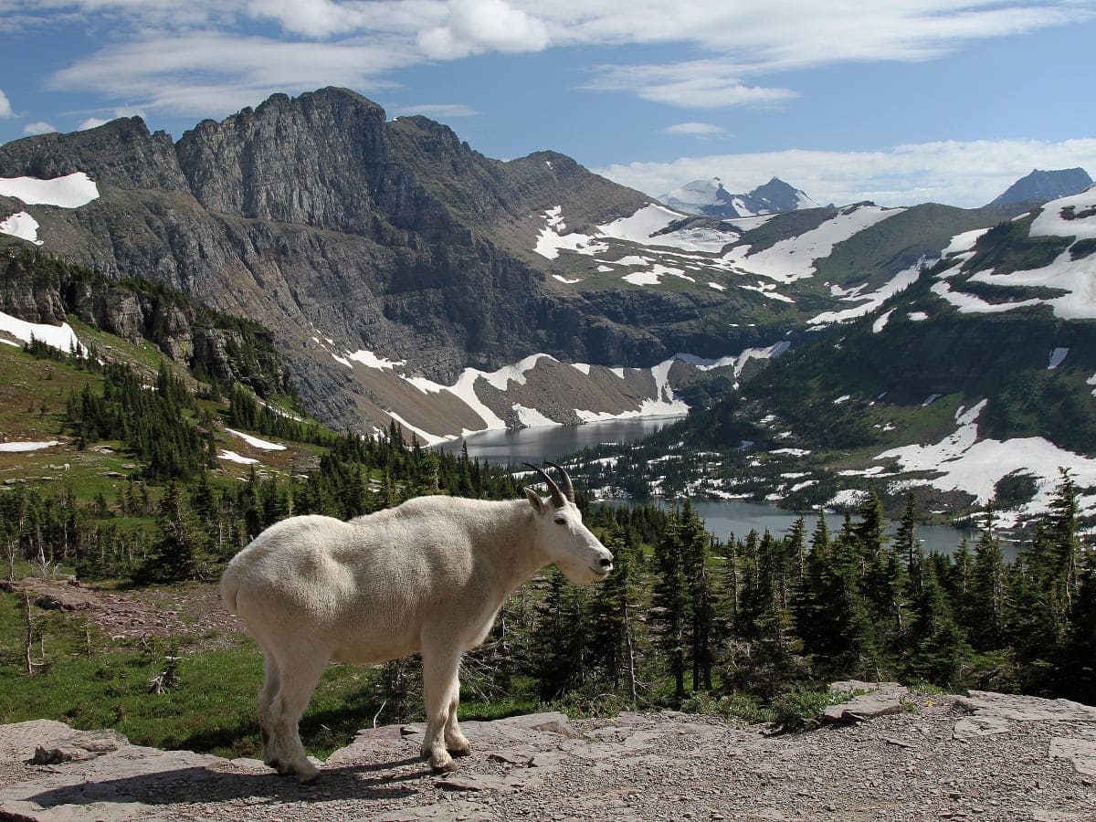 National Parks