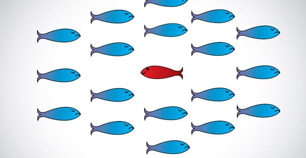 One red fish swims the opposite way of a school of blue fish