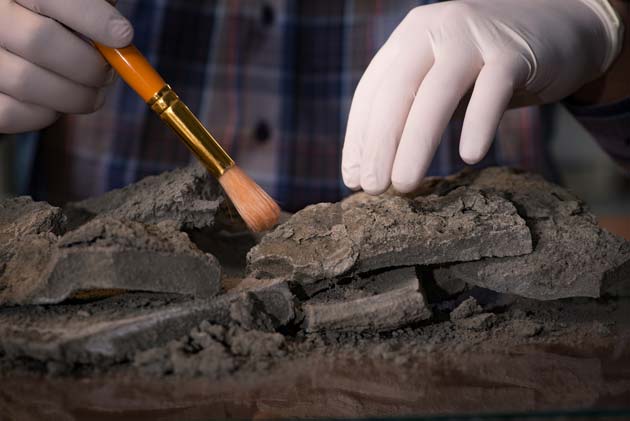 Geologist