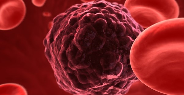 CML is a cancer that affects the red blood cells
