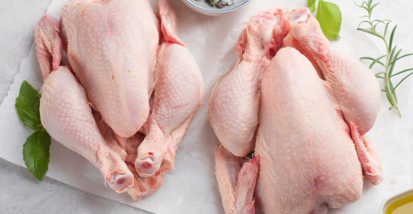 raw chickens represent that salmonellosis can be deadly