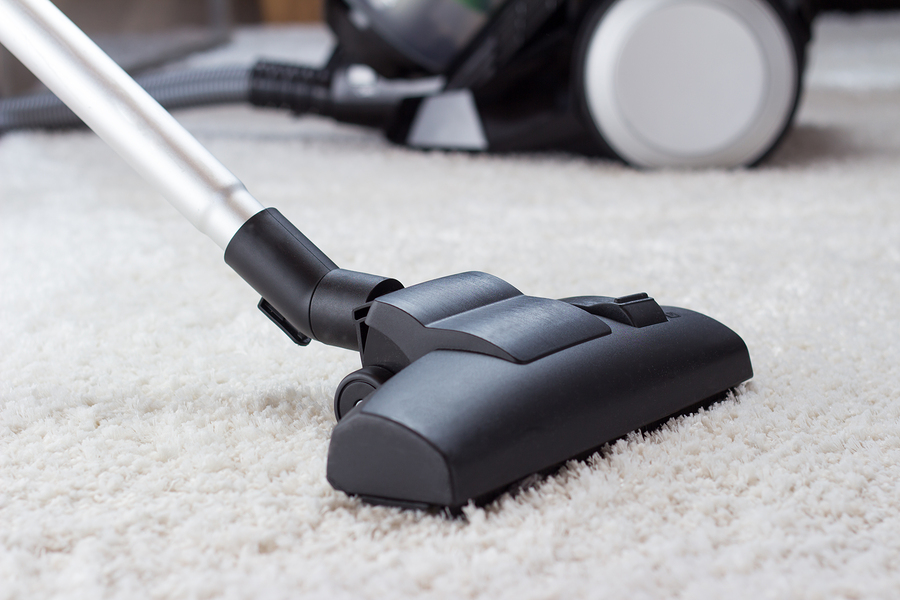 How can you prevent a bed bug infestation?