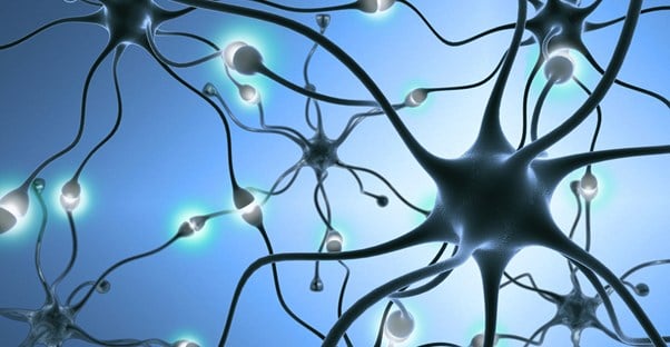 synapses in the brain misfire during schizophrenia