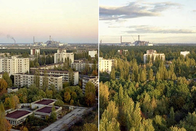 Pripyat is Getting a Bit...Overgrown