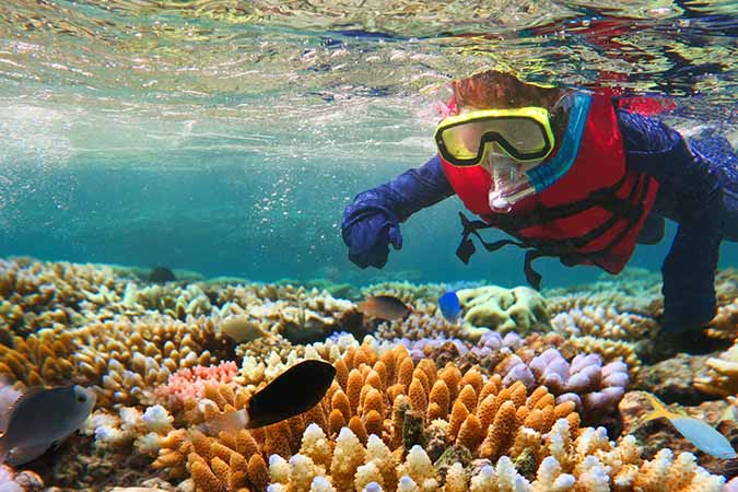 What to Do at the Great Barrier Reef