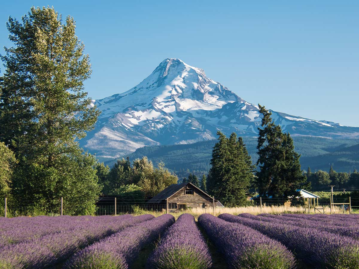 10. Oregon