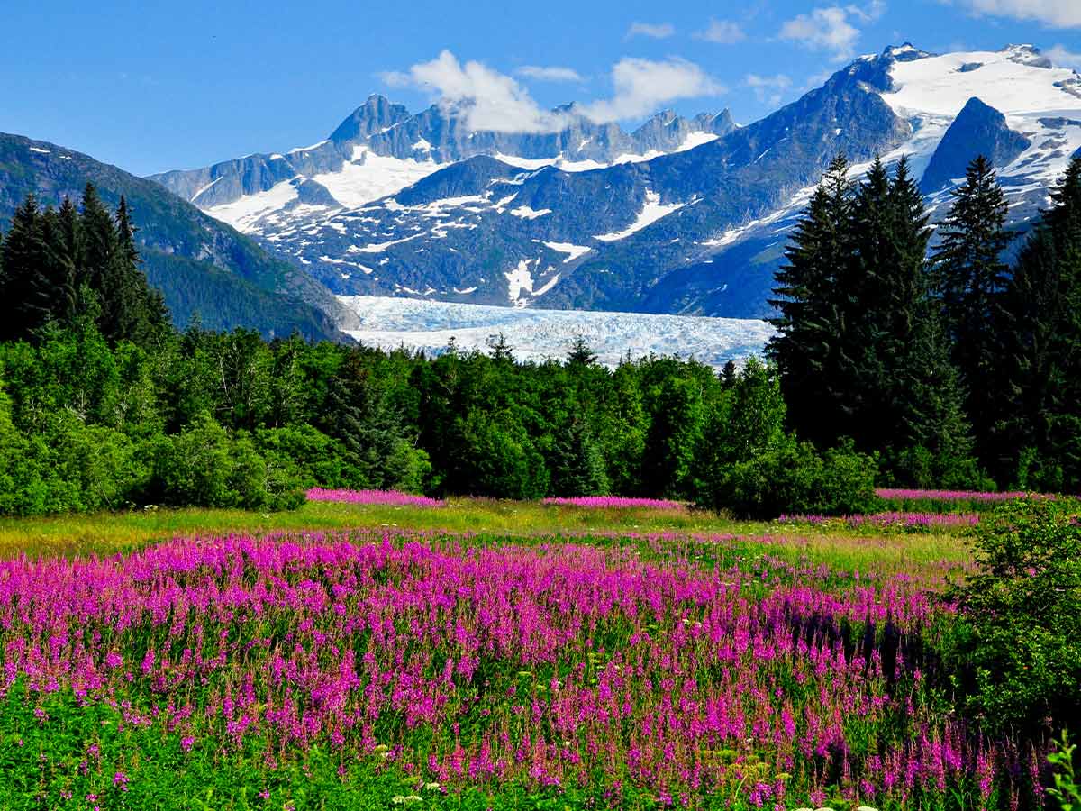 7. Alaska