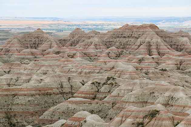 South Dakota!