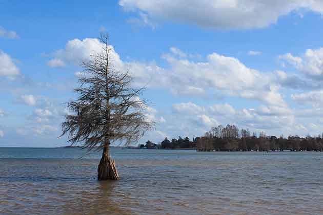 South Carolina