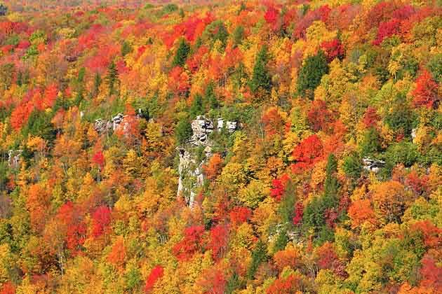 West Virginia!
