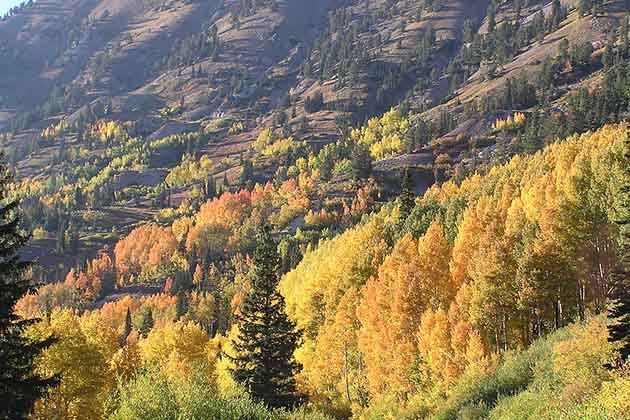Utah!