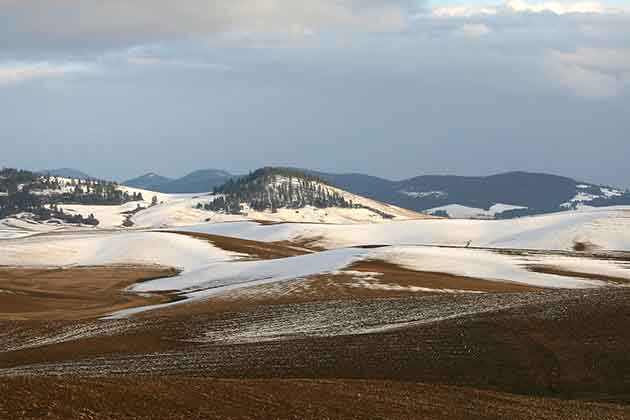 Fertile Hills and Grasslands