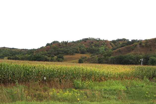 Iowa!