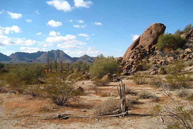 Arizona!