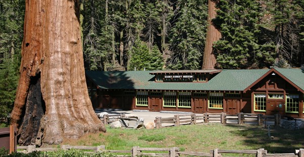 a log cabin lodge nestled in Yosemite National park