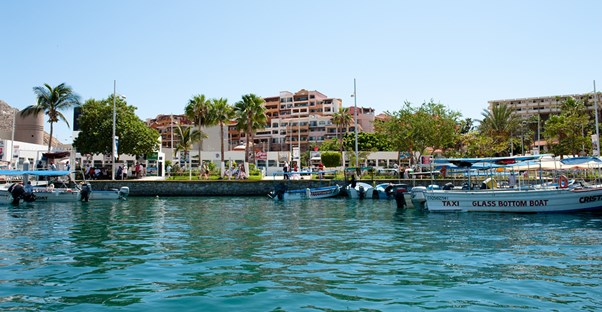 the cabo san lucas harbor bustles with activity