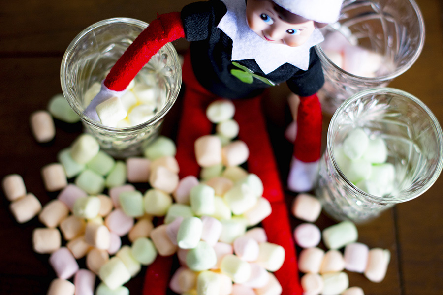Sorting Lucky Charms Marshmallows