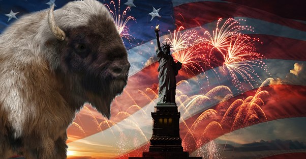 10 Animals More American Than the Bald Eagle main image