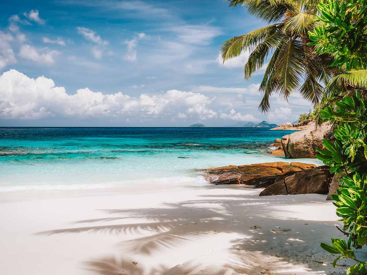 You Dream About Vacationing in a Wonderful Place