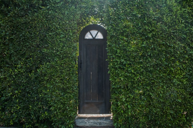 You Dream About Discovering a Secret Room