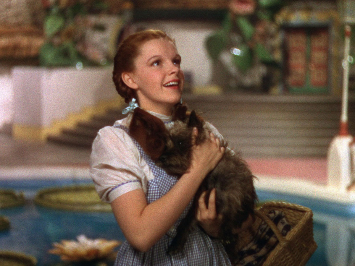 "The Wizard of Oz"