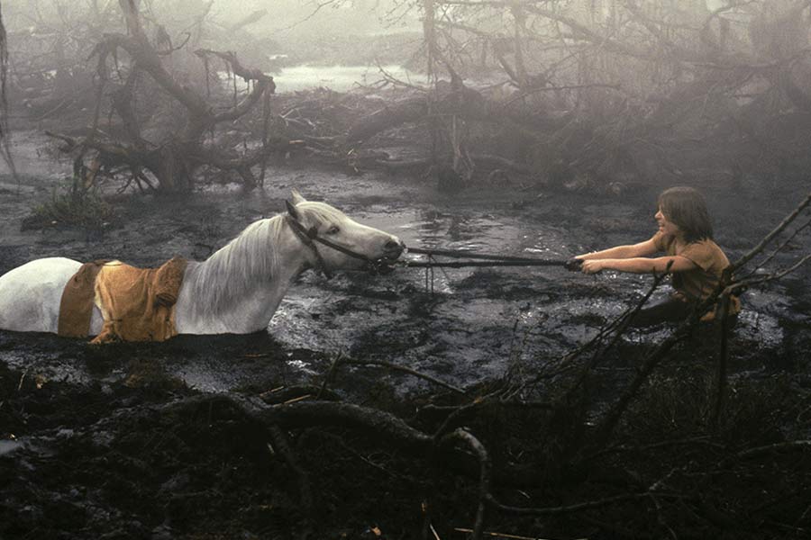 "The NeverEnding Story" (1984)