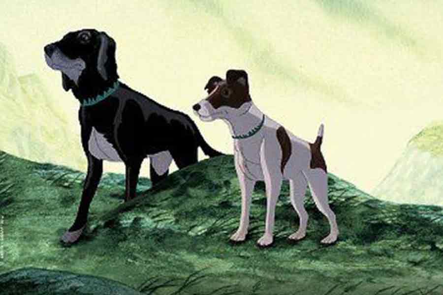 “The Plague Dogs” (1982)