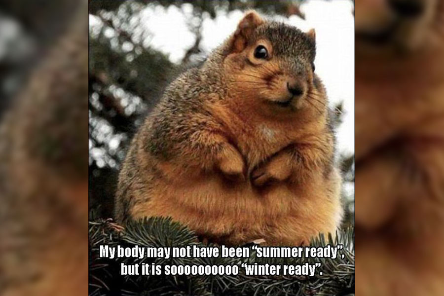 Why do we have to have all four seasons every year?