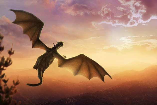 Pete’s Dragon (2016)