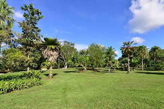 Florida Woman Ran Around a Park in the Buff