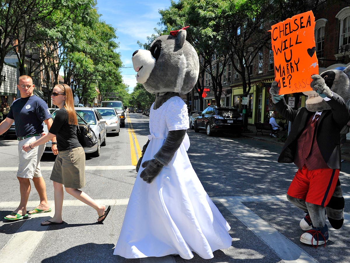 Furry Fantasy