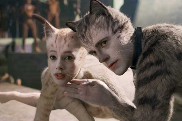 Cats