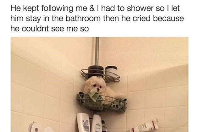 That’s Not a Loofa…