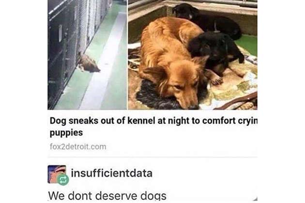 A Motherly Instinct