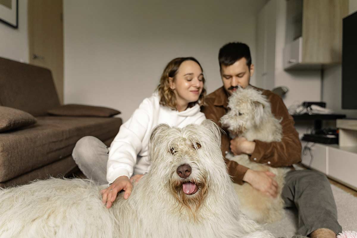 It Began with Puppy Love
