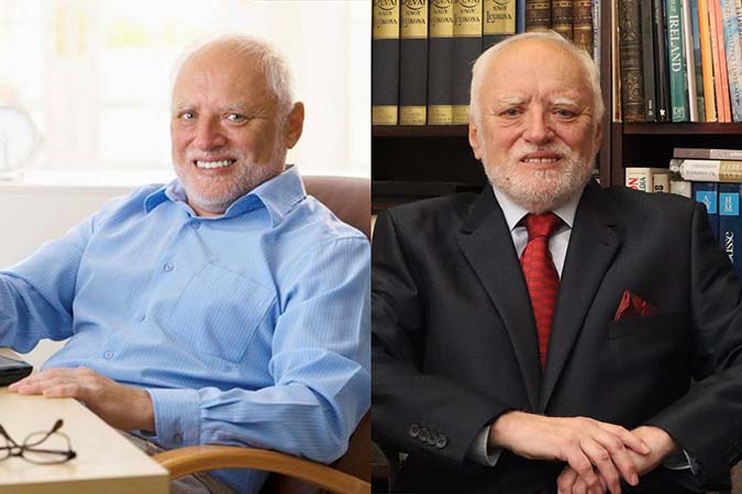 Hide the Pain Harold (András Arató)
