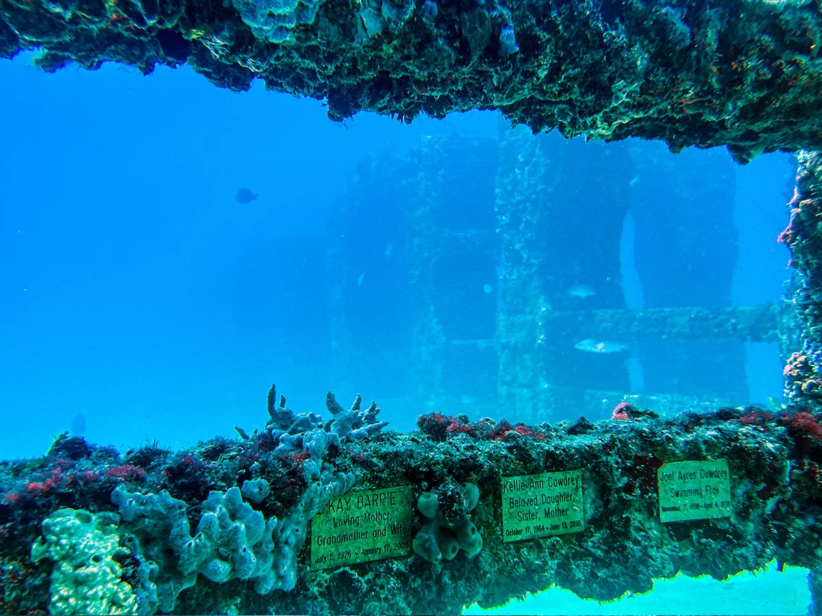 Sea Gate at Neptune Memorial Reef