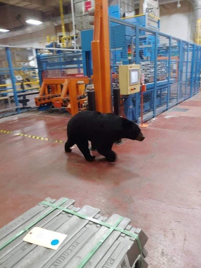 New Guy on the Job