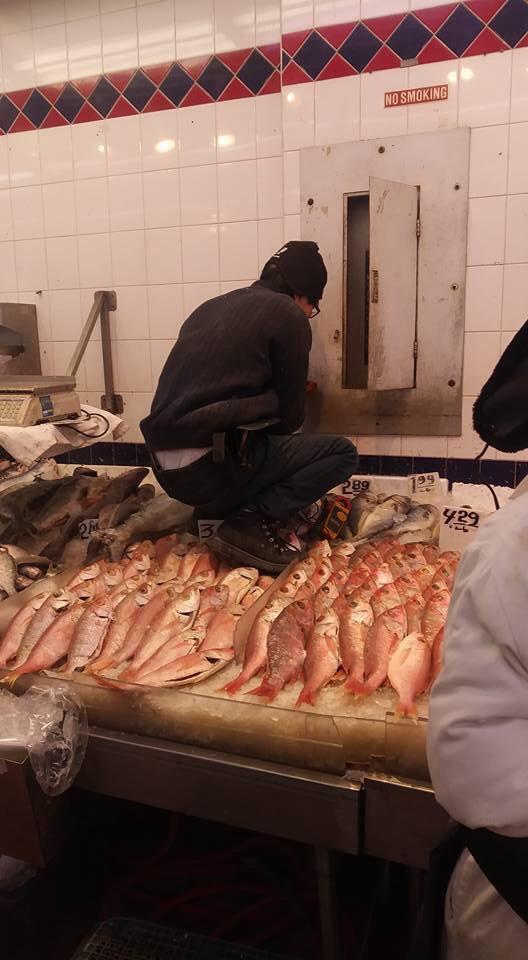 "Fresh" Fish