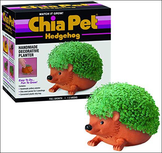 Chia Pets