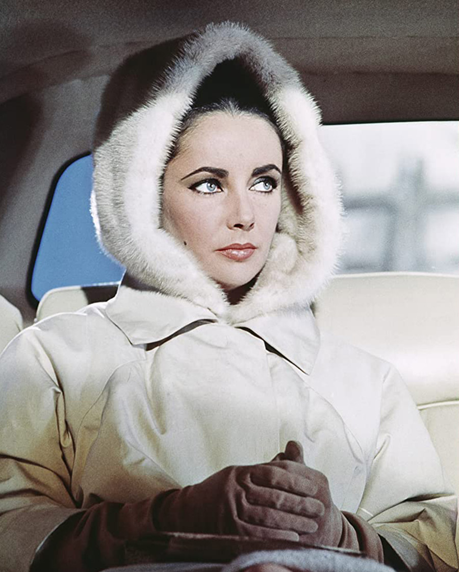 Elizabeth Taylor, The V.I.P.S. (1963)