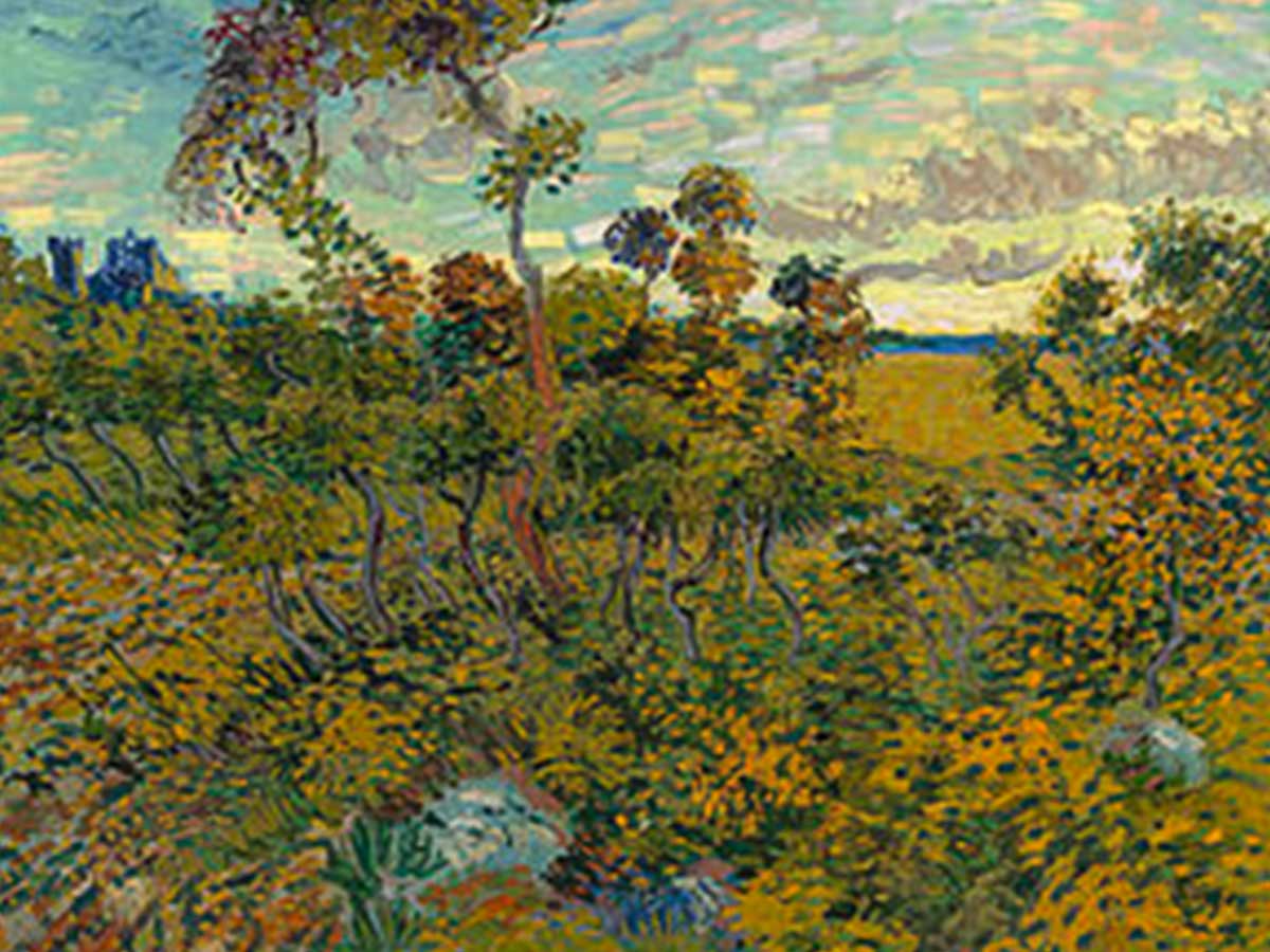 An Undiscovered Van Gogh