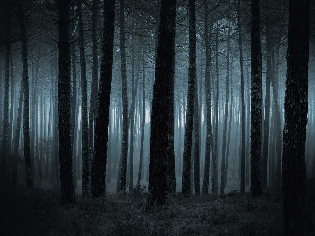 The Wendigos are Calling...
